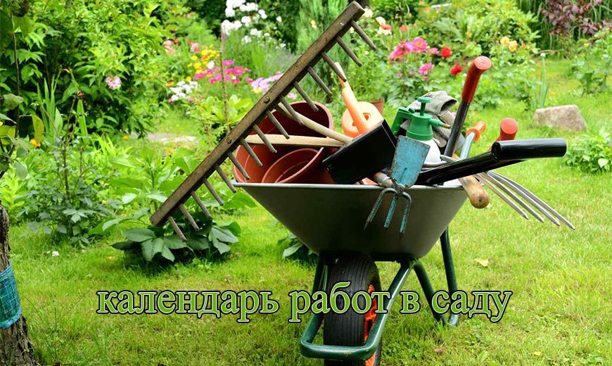 Календарь садовода – Divo-dacha.ru