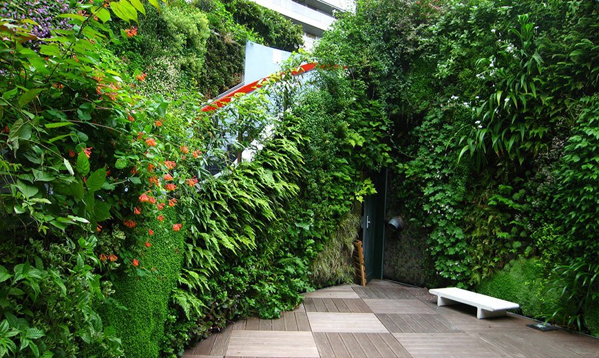 Вертикальное озеленение сада - креативный вертикальный сад
